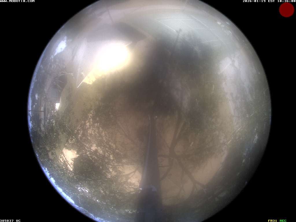 Camera localcam:Last Event Image