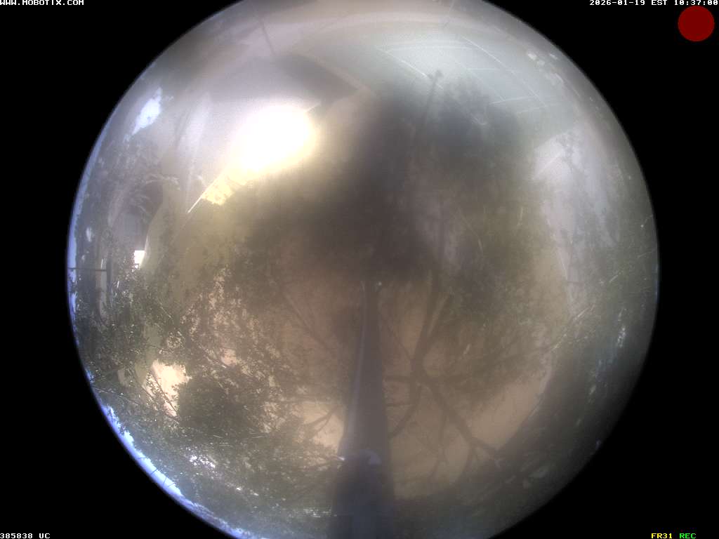 Camera localcam:Event Image #-1