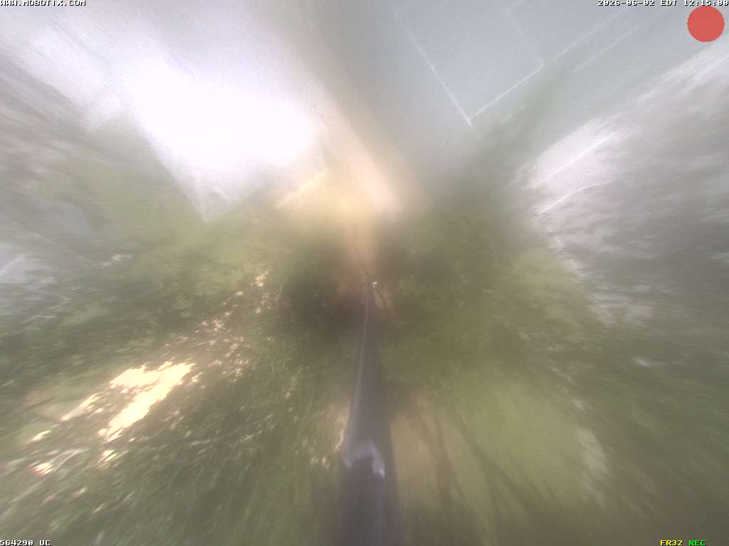 Camera localcam:Last Event Image